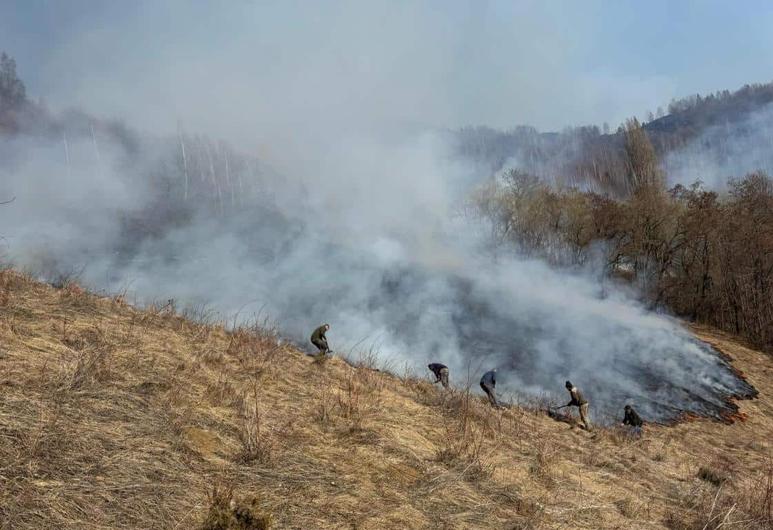 isu alba: 9 incendii de pădure și vegetație, în a