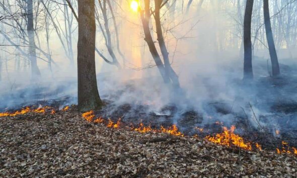 incendiu de vegetație în valea bistrii: focul a cuprins aproape