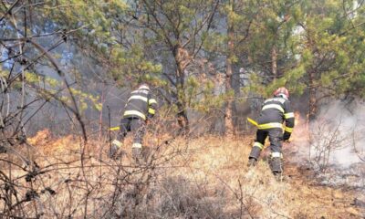 incendiu de vegetație uscată, la râmeț. intervin pompierii din aiud