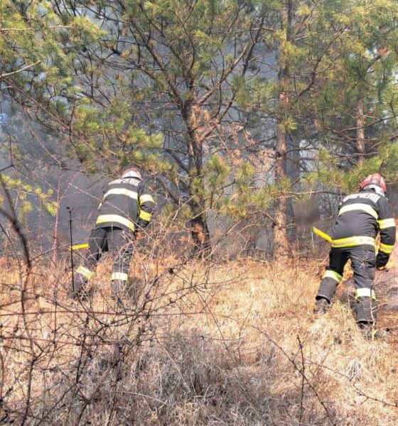 incendiu de vegetație uscată, la râmeț. intervin pompierii din aiud