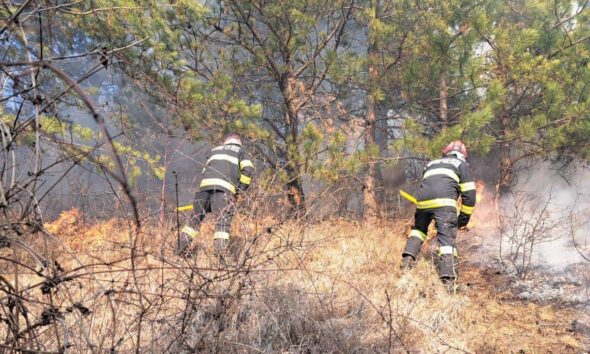 incendiu de vegetație uscată, la râmeț. intervin pompierii din aiud