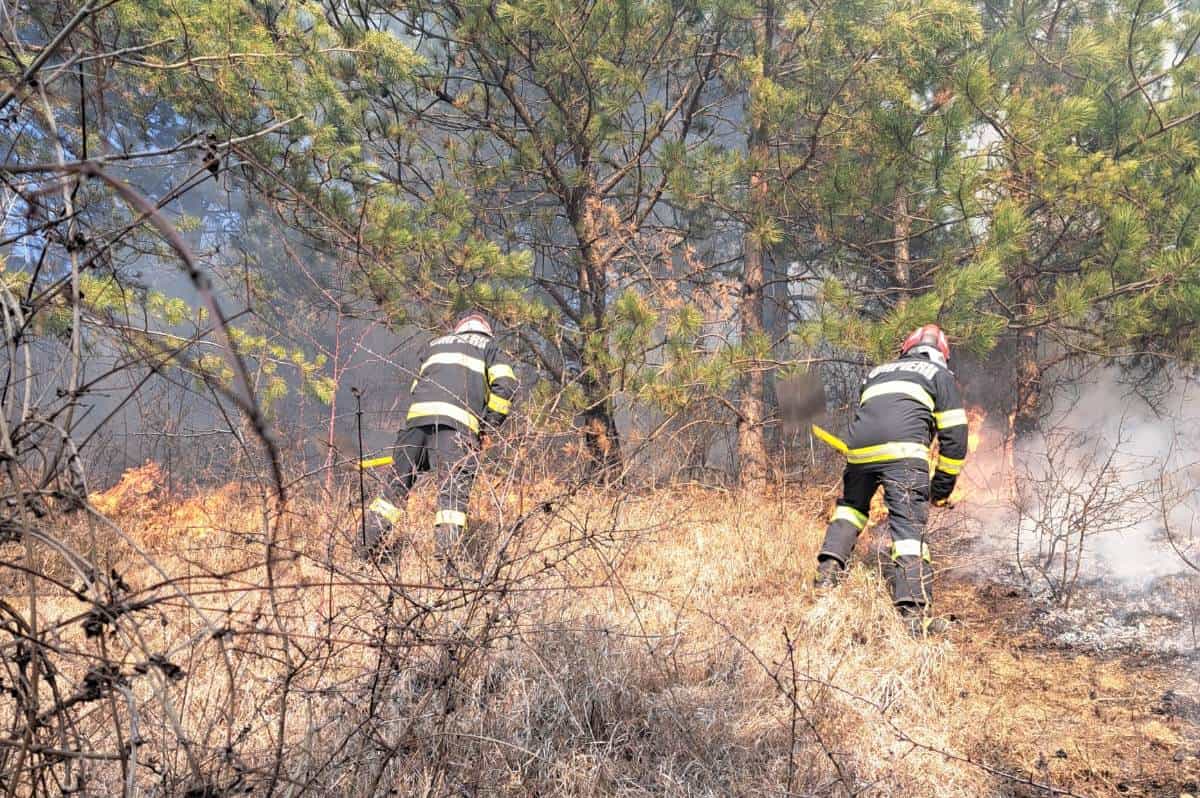 incendiu de vegetație uscată, la râmeț. intervin pompierii din aiud