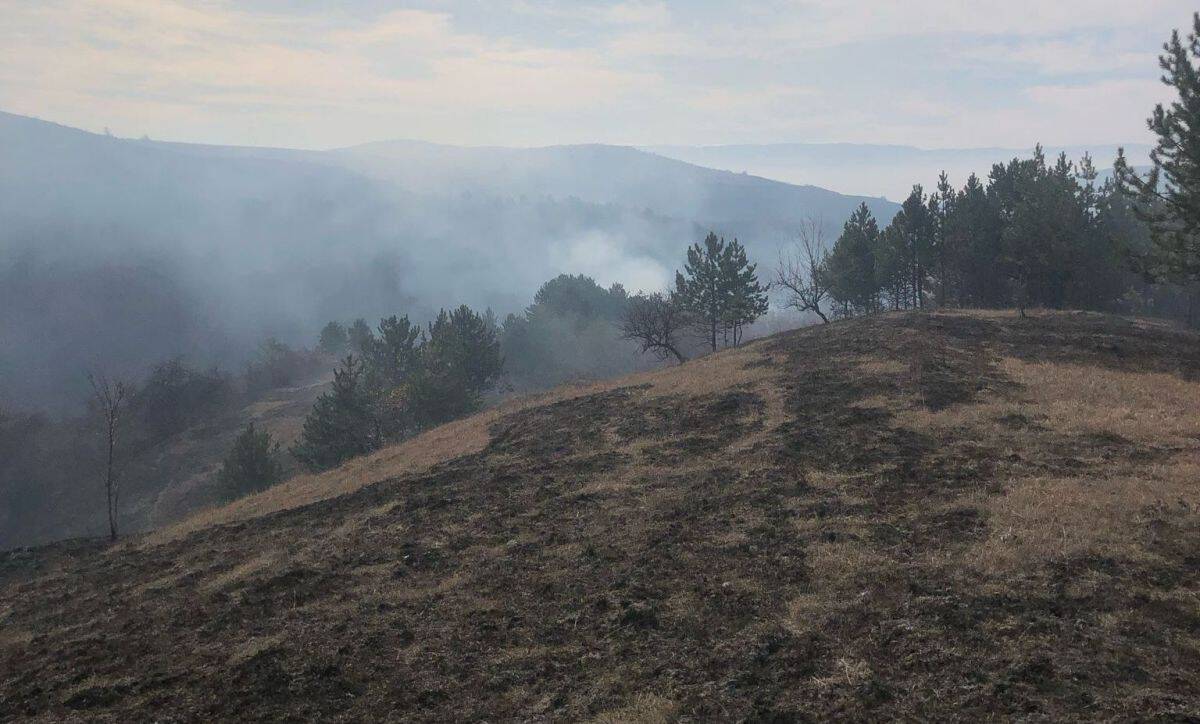 incendiu la o gospodărie într un sat din comuna scărișoara. flăcările