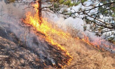 pompierii trag un semnal de alarmă: 8 incendii de vegetație