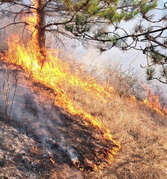 pompierii trag un semnal de alarmă: 8 incendii de vegetație