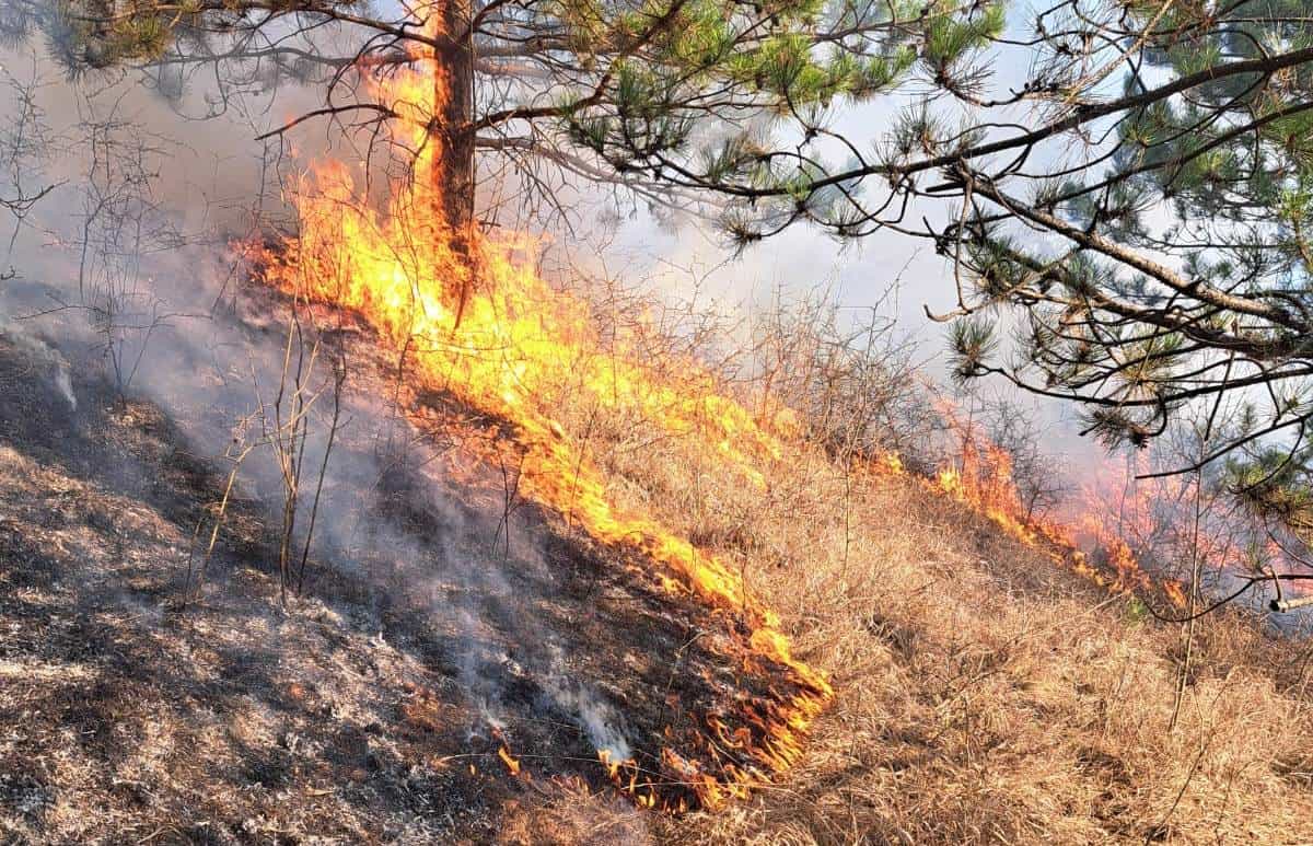 pompierii trag un semnal de alarmă: 8 incendii de vegetație