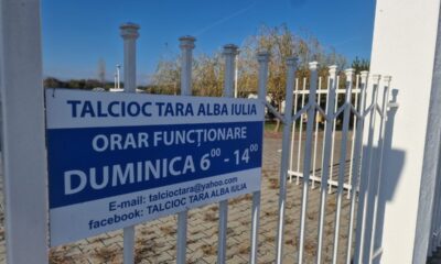 taxă de intrare la talciocul din alba iulia pentru vizitatori.