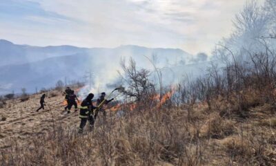 video: incendii de vegetație și pădure în mai multe zone