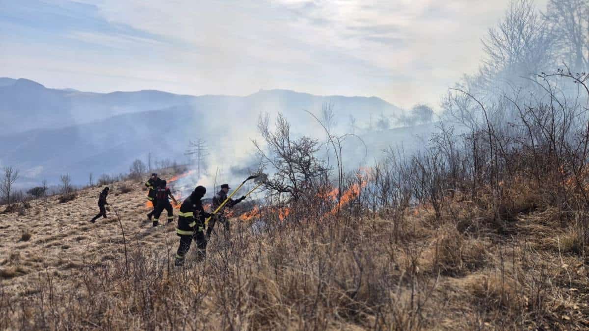 video: incendii de vegetație și pădure în mai multe zone