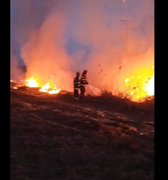 video: incendiu de vegetație uscată la alba iulia, în zona