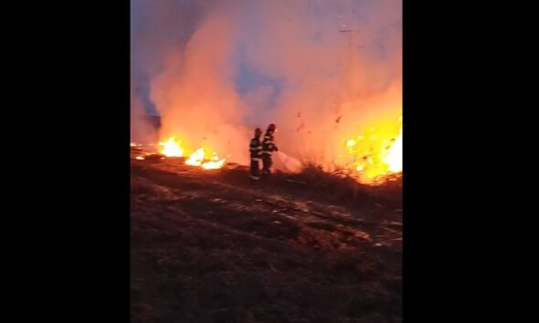 video: incendiu de vegetație uscată la alba iulia, în zona