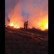 video: incendiu de vegetație uscată la alba iulia, în zona