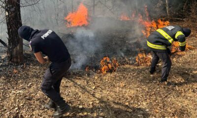 video: incendiu pe 3 hectare de teren în zona rimetea.