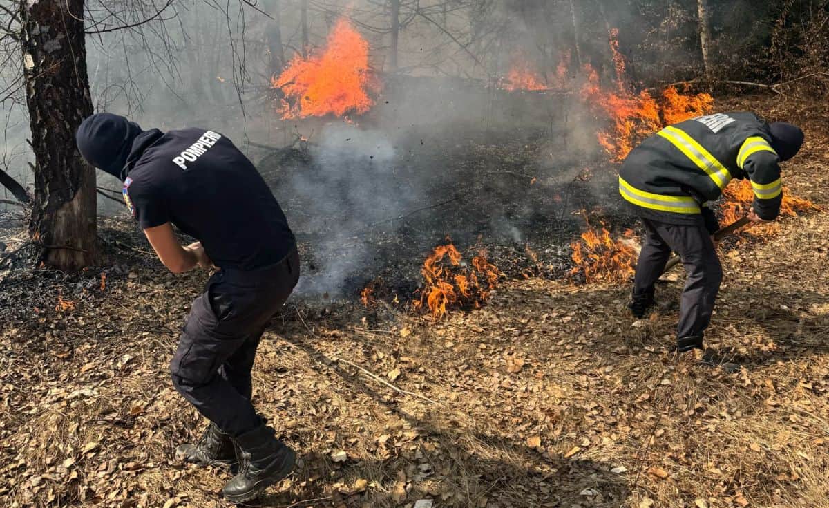 video: incendiu pe 3 hectare de teren în zona rimetea.