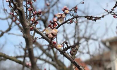 vremea în românia până în 7 aprilie: temperaturi mai ridicate