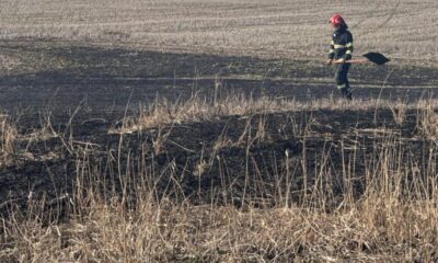 o casă din rădeni și 50 de hectare de rapiță