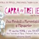 ziua mondială a marionetiștilor și păpușarilor, sărbătorită la teatrul de