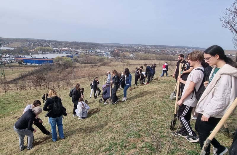 mobilizare impresionantă: 150 de elevi au plantat 1000 de puieți