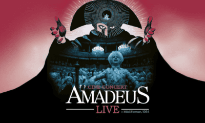 amadeus landscape 0 e1741870069119.png