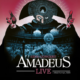 amadeus landscape 0 e1741870069119.png