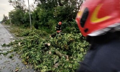 pompieri copaci cazuti vijelie cluj.jpg