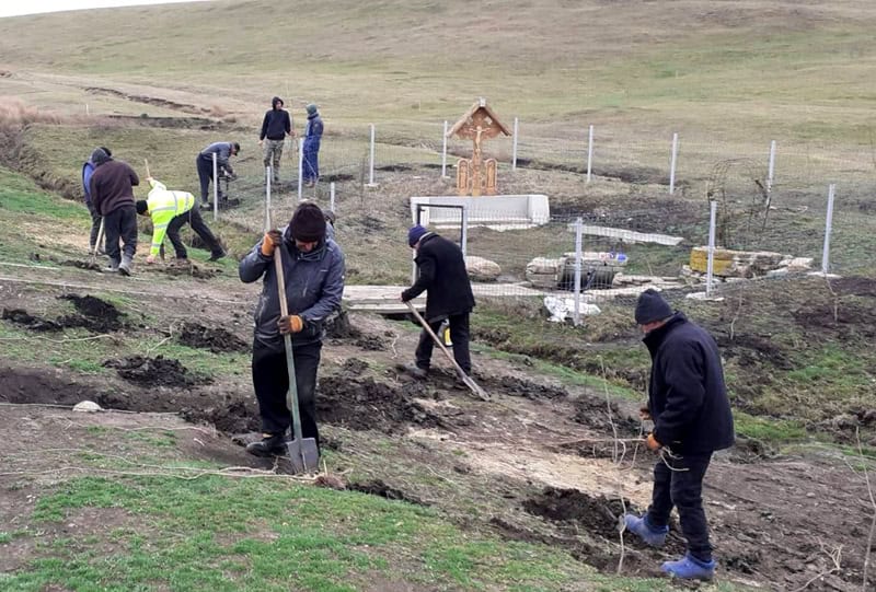 acțiune de împădurire în comuna prăjeni: 3000 de puieți plantați