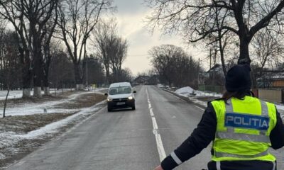 peste 70 de permise de conducere și certificate de înmatriculare