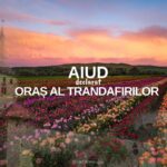 aiudul, declarat „oraș al trandafirilor”. festivalul „vin și trandafiri” se