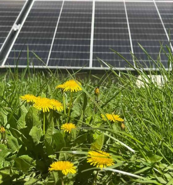 zilele nzeb la alba iulia: eveniment dedicat construcțiilor sustenabile, tehnologiilor