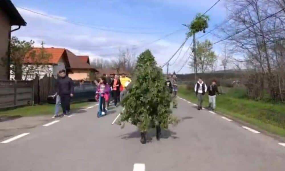 „borbolatiţa”, obiceiul străvechi păstrat în satul limba. ritualul pentru ploi