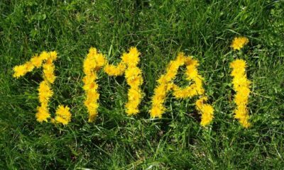 1 mai – ziua internaţională a muncii, omagiu adus muncitorilor