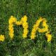 1 mai – ziua internaţională a muncii, omagiu adus muncitorilor