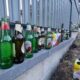 doi bărbați și o femeie din alba s au îmbătat și