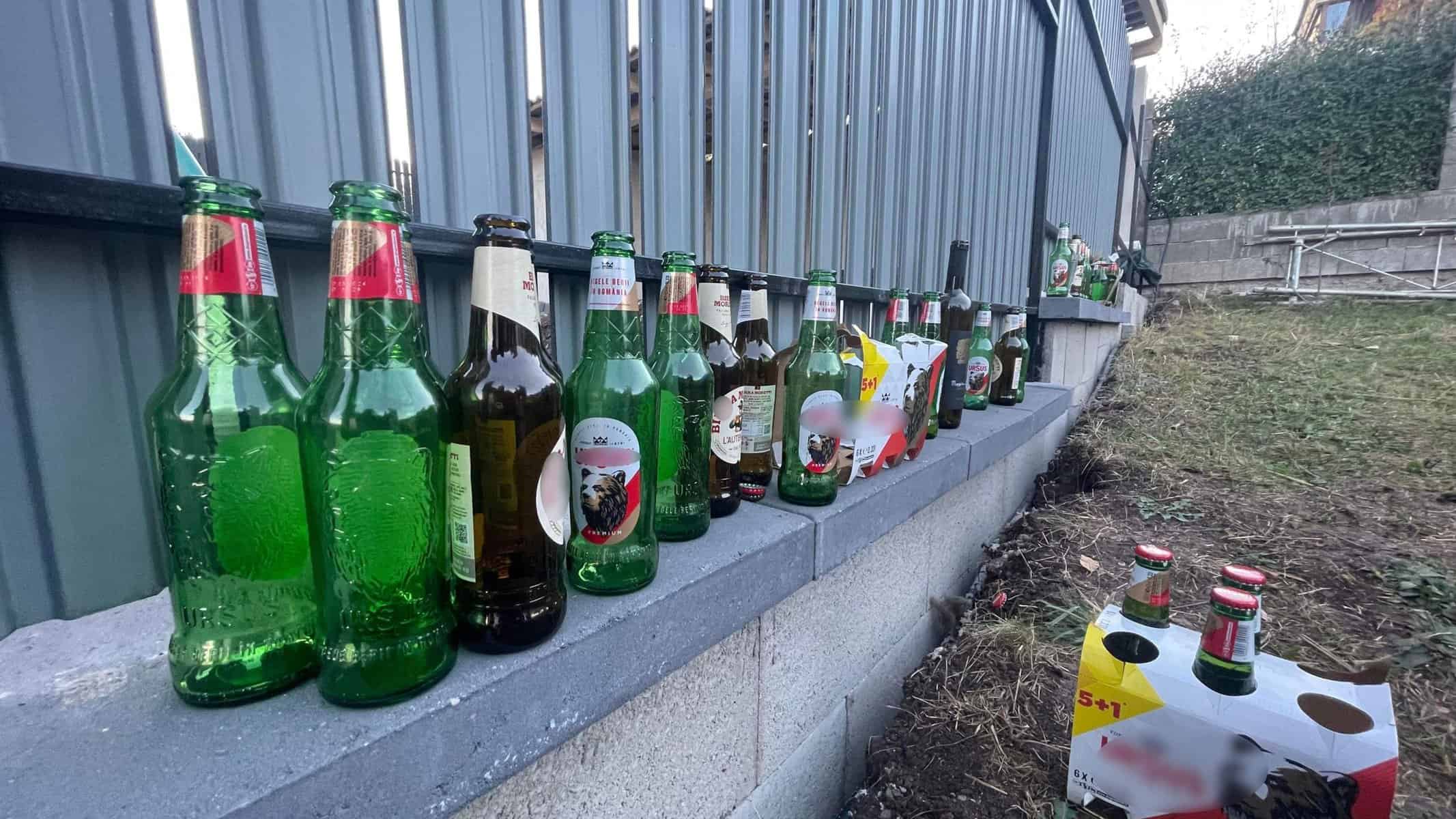doi bărbați și o femeie din alba s au îmbătat și