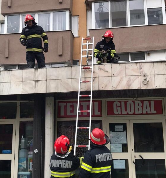 foto: pompierii din alba iulia au salvat o pisică care