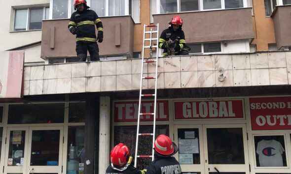 foto: pompierii din alba iulia au salvat o pisică care