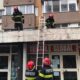 foto: pompierii din alba iulia au salvat o pisică care