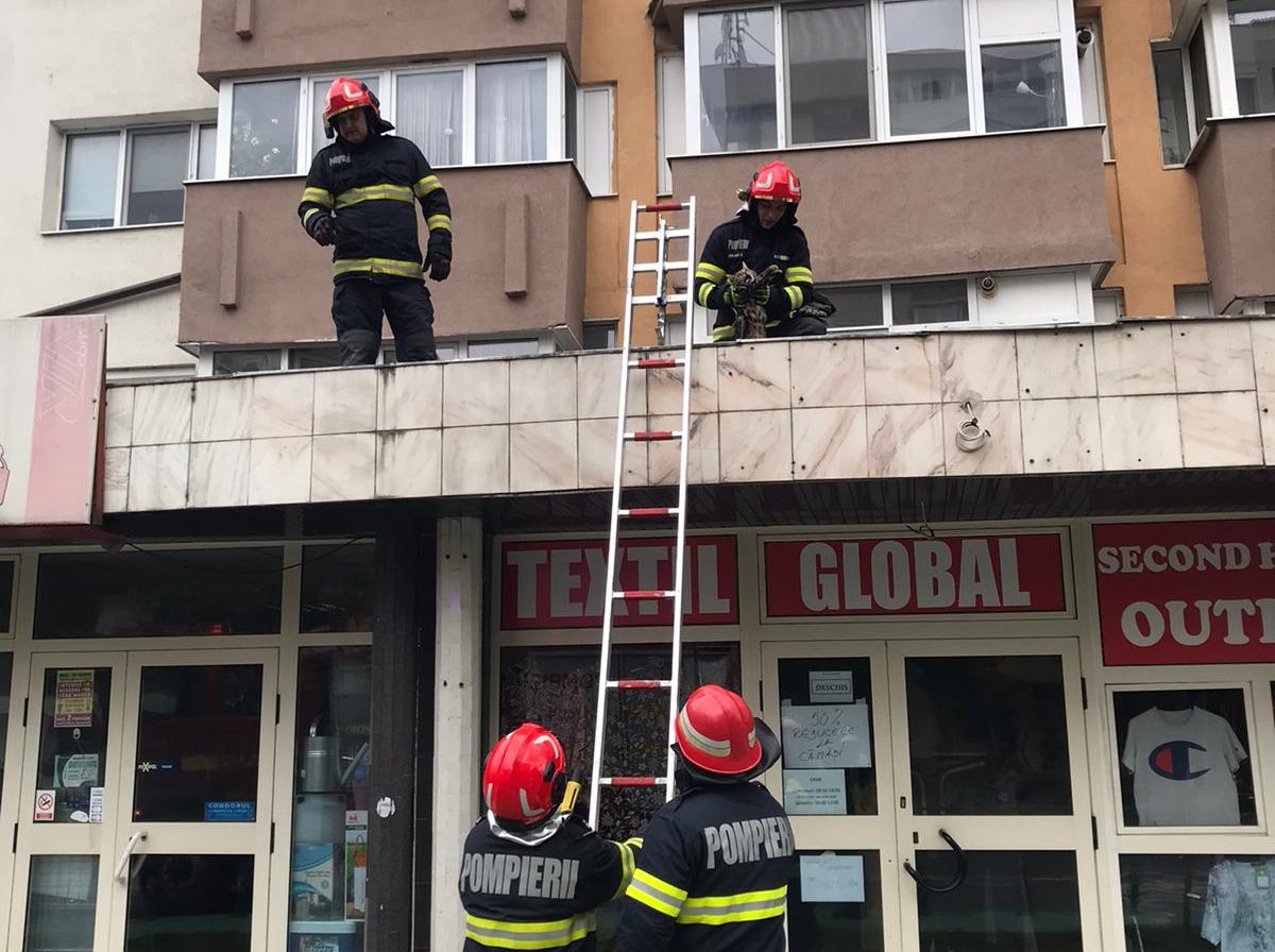 foto: pompierii din alba iulia au salvat o pisică care