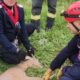 foto: un căprior căzut într un puț adânc de peste trei