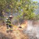 incendiu de vegetație uscată, în comuna bistra. intervin pompierii din