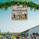 jidvei weinland trails – spring running la jidvei: competiție de