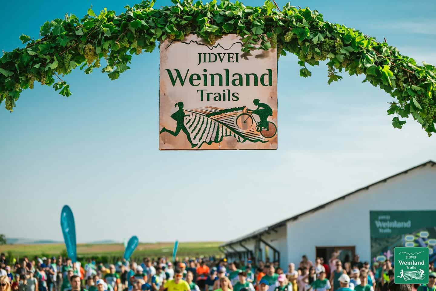 jidvei weinland trails – spring running la jidvei: competiție de