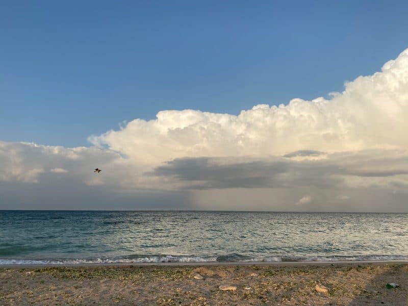 litoralul pentru toţi 2025: cât costă cazarea la mare, din