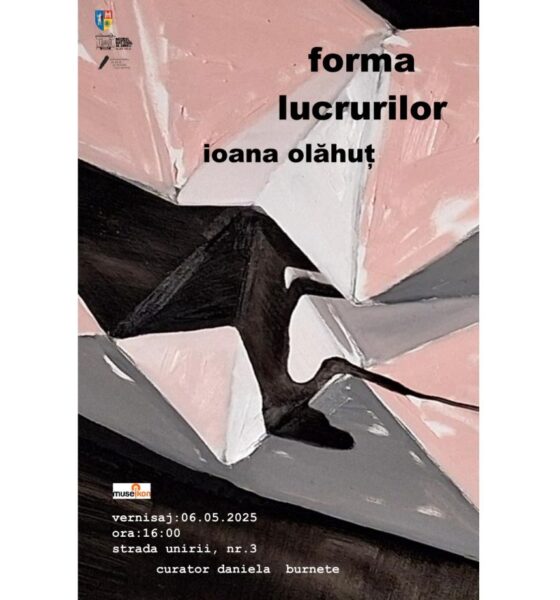 marți, 6 mai: vernisajul expoziției artistei ioana olăhuț, „forma lucrurilor”,