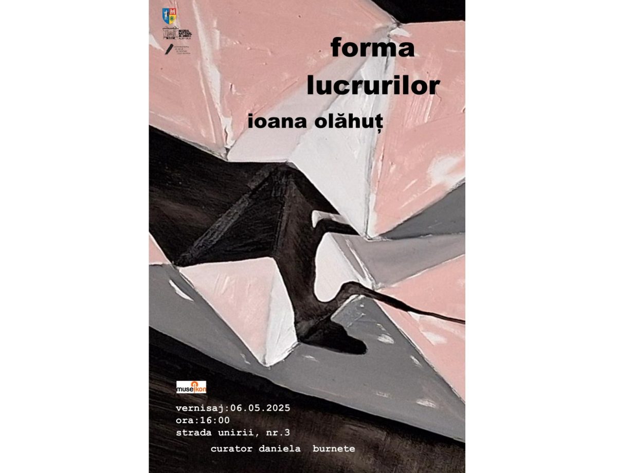 marți, 6 mai: vernisajul expoziției artistei ioana olăhuț, „forma lucrurilor”,