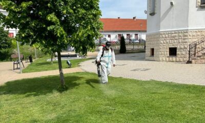 tratamente de dezinsecție pentru combaterea căpușelor pe spații publice din