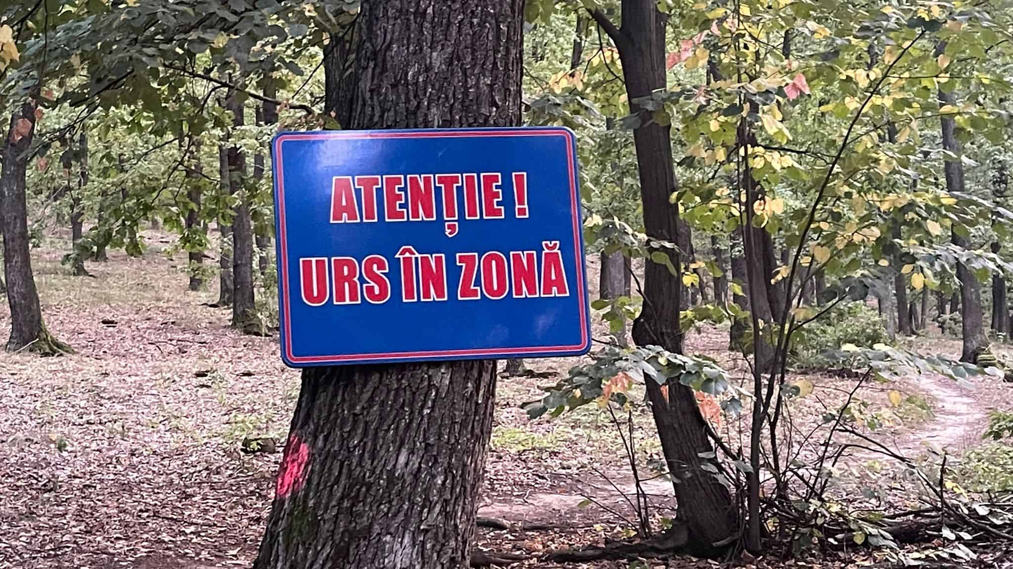 un urs a fost văzut la o fermă de animale