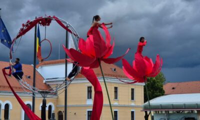 video: moment inedit în cetatea alba carolina: acrobații la înălțime