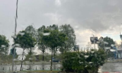 vremea în alba în săptămâna 12 – 18 mai: când