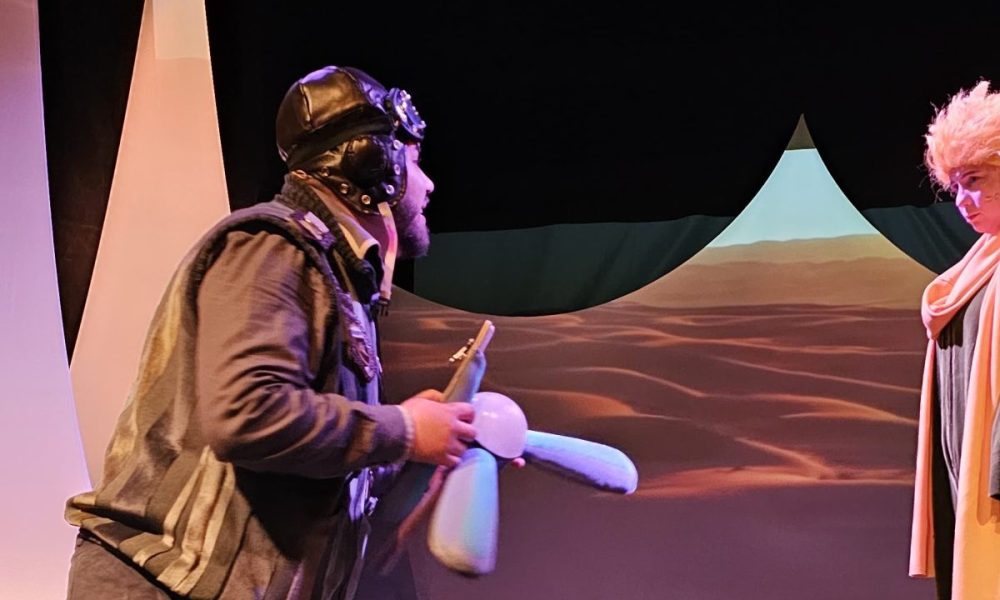 foto: gala voluntarului, a doua ediție, la teatrul „vasilache” botoșani